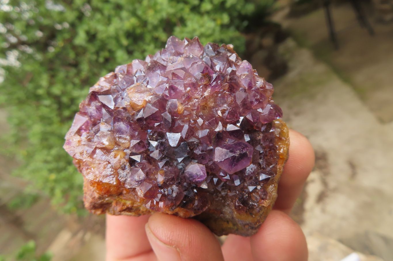 Natural Amethystos Amethyst Specimens x 12 From Kwaggafontein, South Africa - Toprock Gemstones and Minerals 