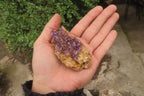 Natural Amethystos Amethyst Specimens x 12 From Kwaggafontein, South Africa - Toprock Gemstones and Minerals 