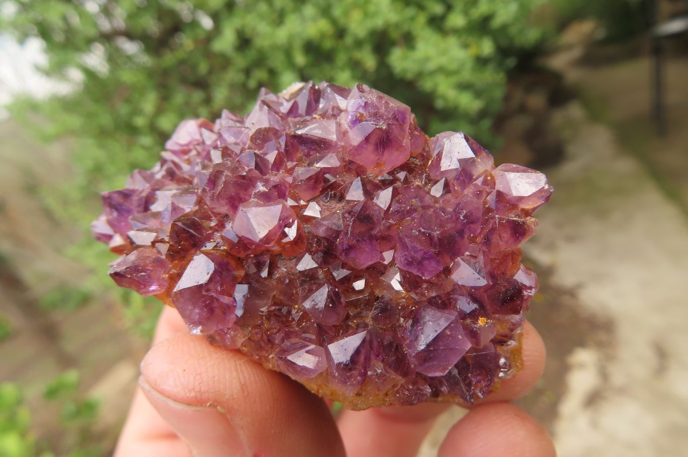 Natural Amethystos Amethyst Specimens x 12 From Kwaggafontein, South Africa - Toprock Gemstones and Minerals 