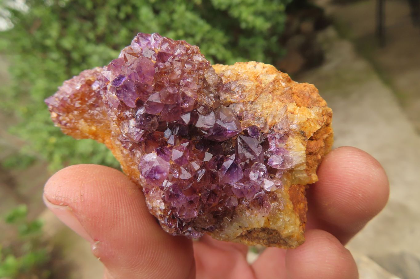 Natural Amethystos Amethyst Specimens x 12 From Kwaggafontein, South Africa - Toprock Gemstones and Minerals 