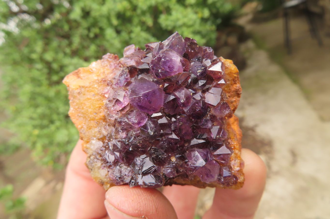 Natural Amethystos Amethyst Specimens x 12 From Kwaggafontein, South Africa - Toprock Gemstones and Minerals 