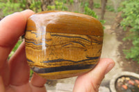 Polished Tiger's Eye Free Forms x 5 From Prieska, South Africa