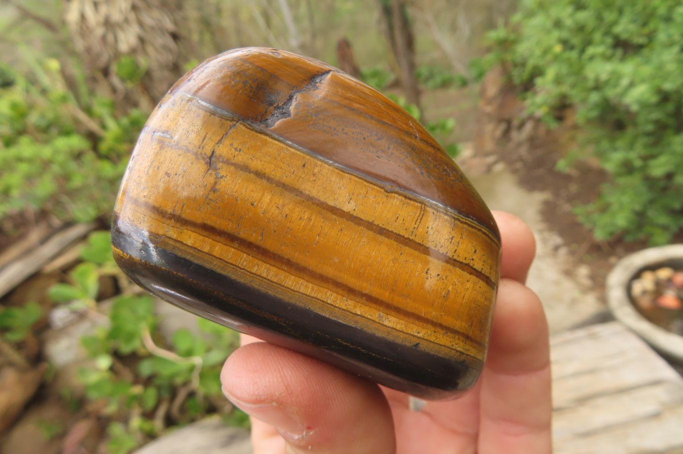 Polished Tiger's Eye Free Forms x 5 From Prieska, South Africa - Toprock Gemstones and Minerals 