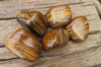 Polished Tiger's Eye Free Forms x 5 From Prieska, South Africa - Toprock Gemstones and Minerals 
