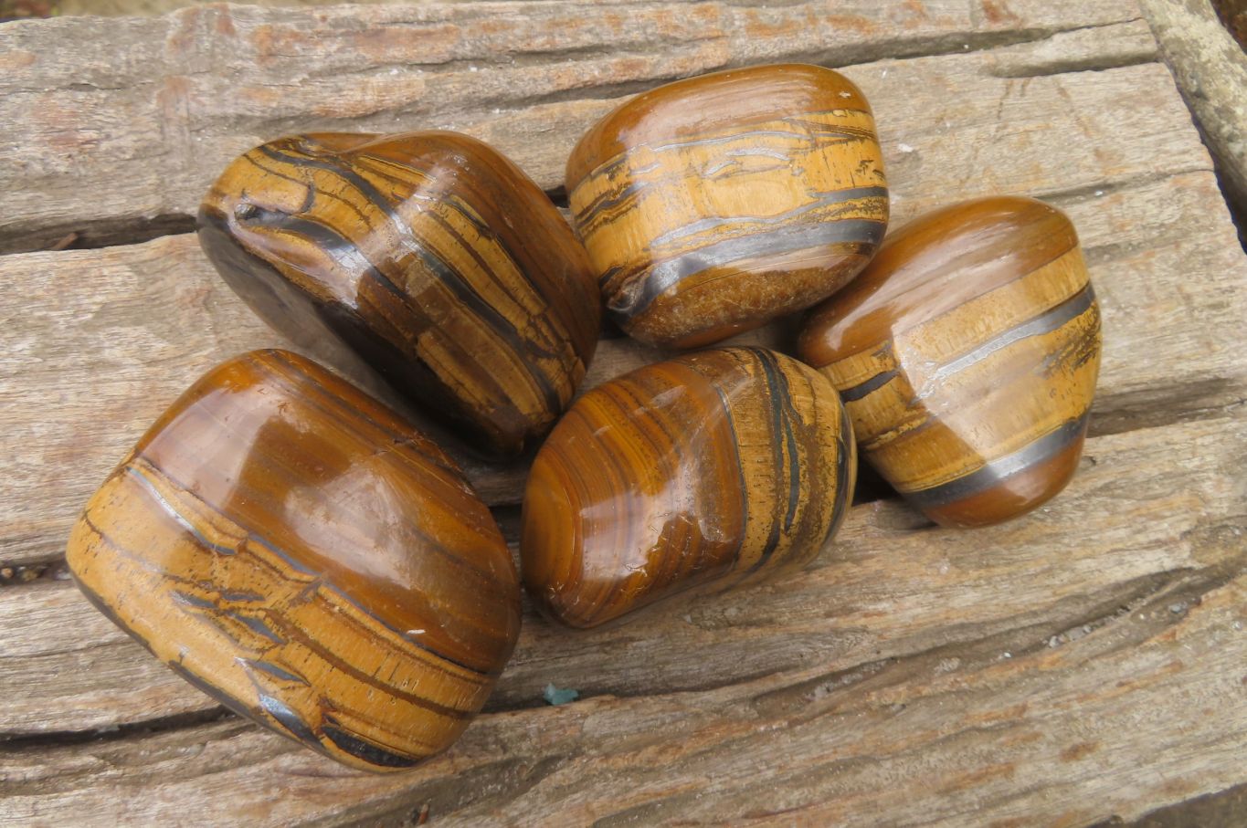 Polished Tiger's Eye Free Forms x 5 From Prieska, South Africa - Toprock Gemstones and Minerals 