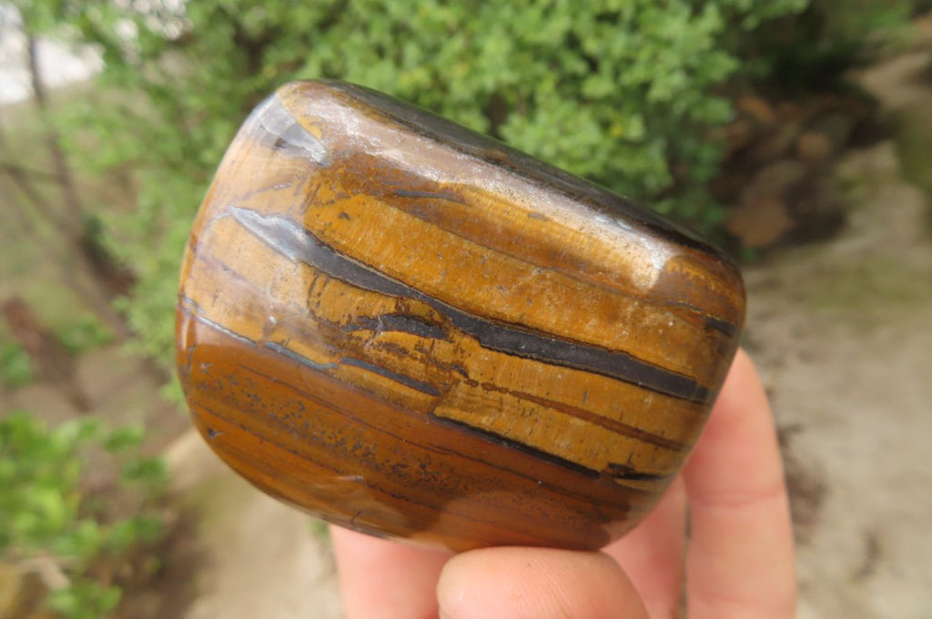 Polished Tiger's Eye Free Forms x 5 From Prieska, South Africa - Toprock Gemstones and Minerals 