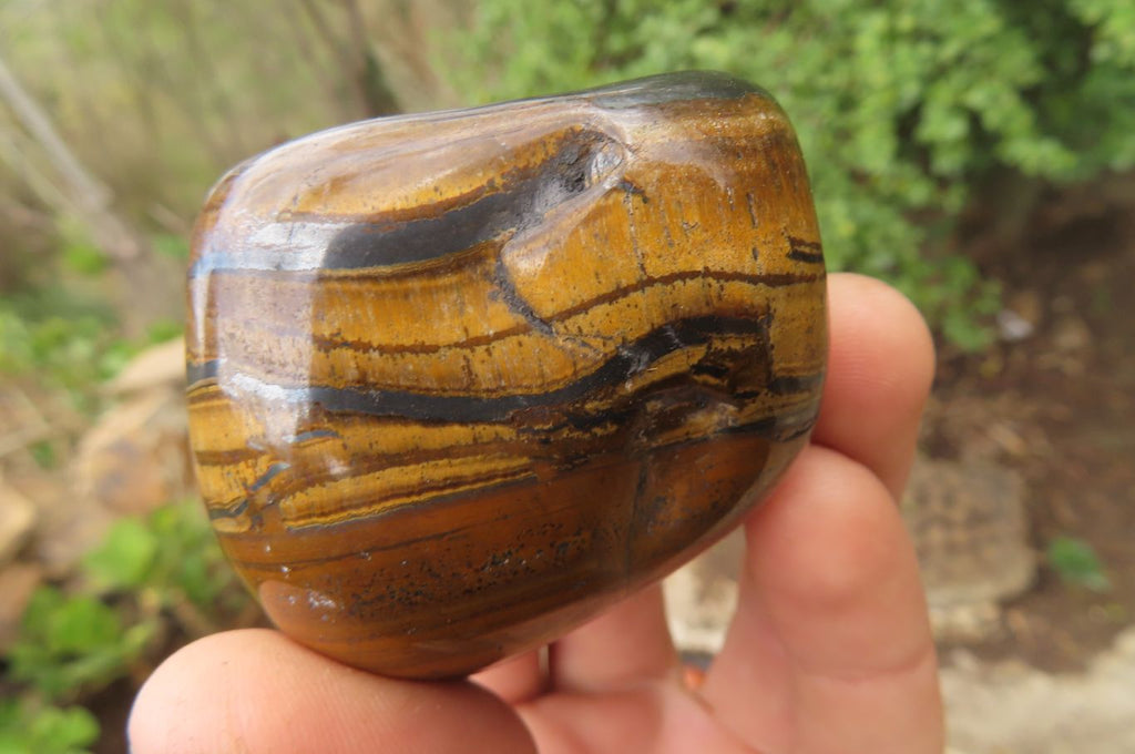 Polished Tiger's Eye Free Forms x 5 From Prieska, South Africa - Toprock Gemstones and Minerals 
