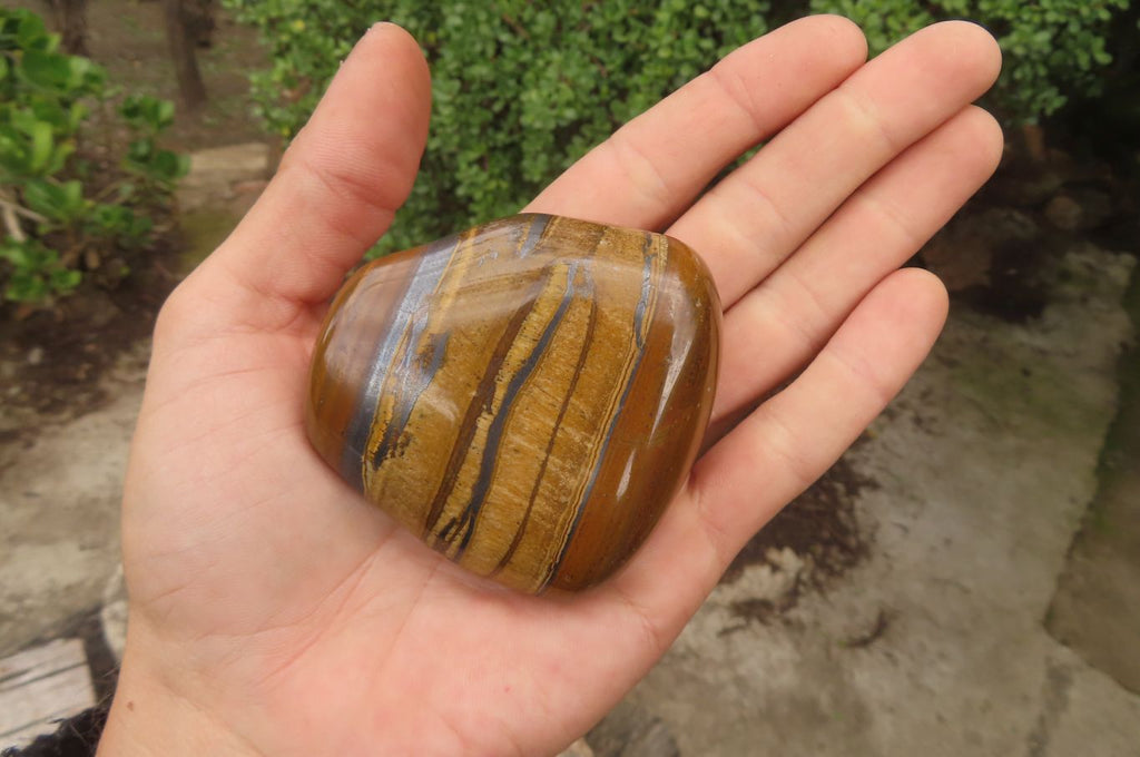 Polished Tiger's Eye Free Forms x 5 From Prieska, South Africa - Toprock Gemstones and Minerals 
