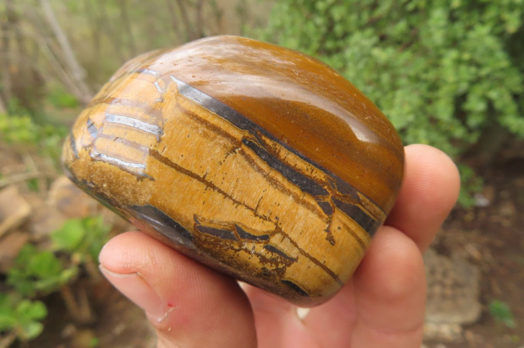 Polished Tiger's Eye Free Forms x 5 From Prieska, South Africa - Toprock Gemstones and Minerals 