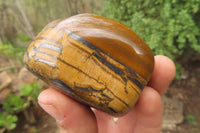 Polished Tiger's Eye Free Forms x 5 From Prieska, South Africa