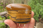 Polished Tiger's Eye Free Forms x 5 From Prieska, South Africa - Toprock Gemstones and Minerals 