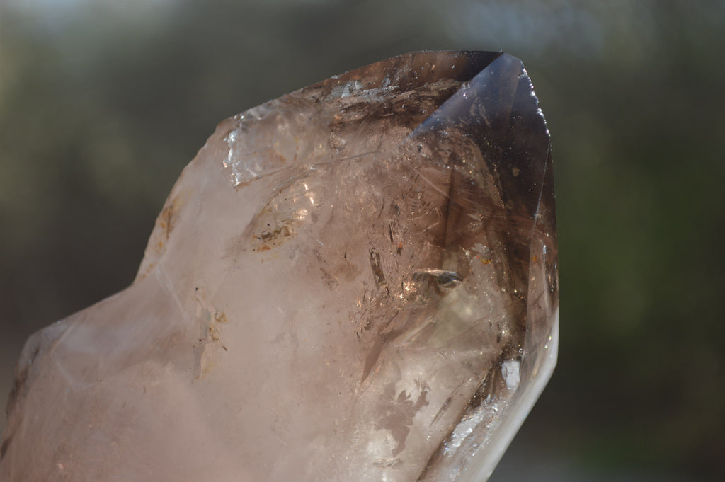 Polished Smokey Quartz Crystals x 2 From Madagascar - Toprock Gemstones and Minerals 