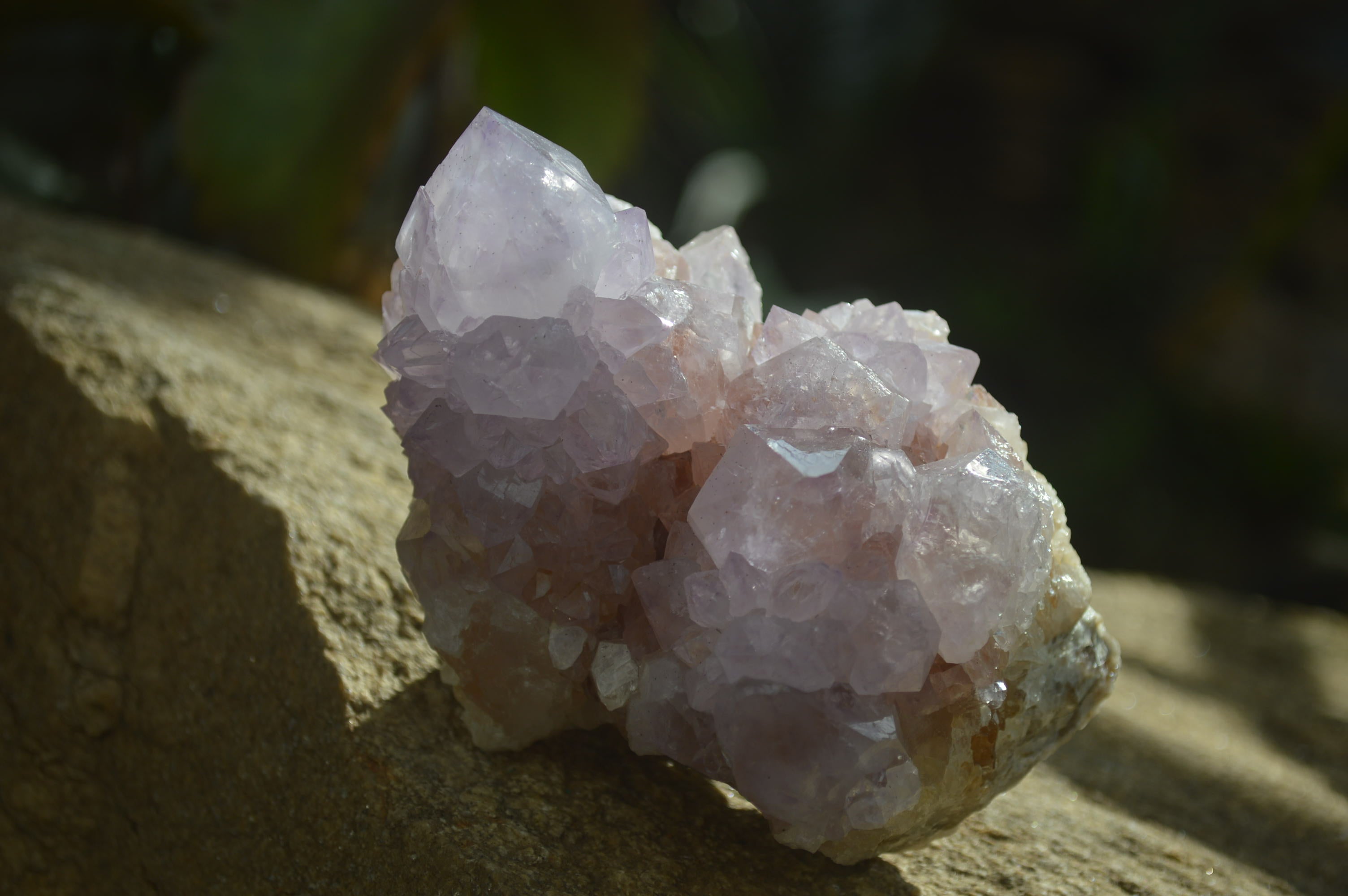 Natural Cactus Flower Spirit Quartz Clusters x 2 From Boekenhouthoek, South Africa - Toprock Gemstones and Minerals 