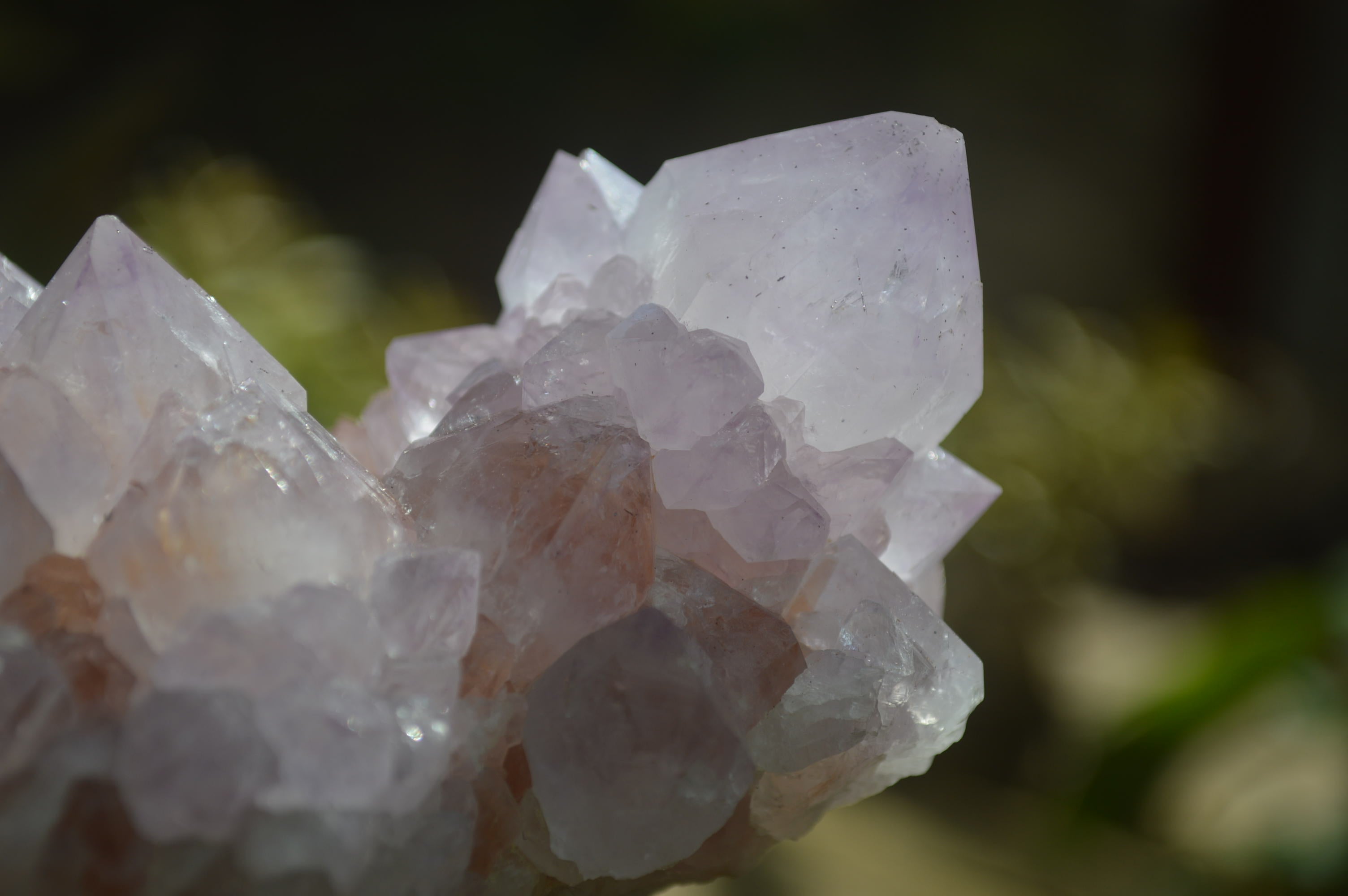 Natural Cactus Flower Spirit Quartz Clusters x 2 From Boekenhouthoek, South Africa - Toprock Gemstones and Minerals 