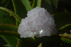 Natural Cactus Flower Spirit Quartz Clusters x 2 From Boekenhouthoek, South Africa - Toprock Gemstones and Minerals 