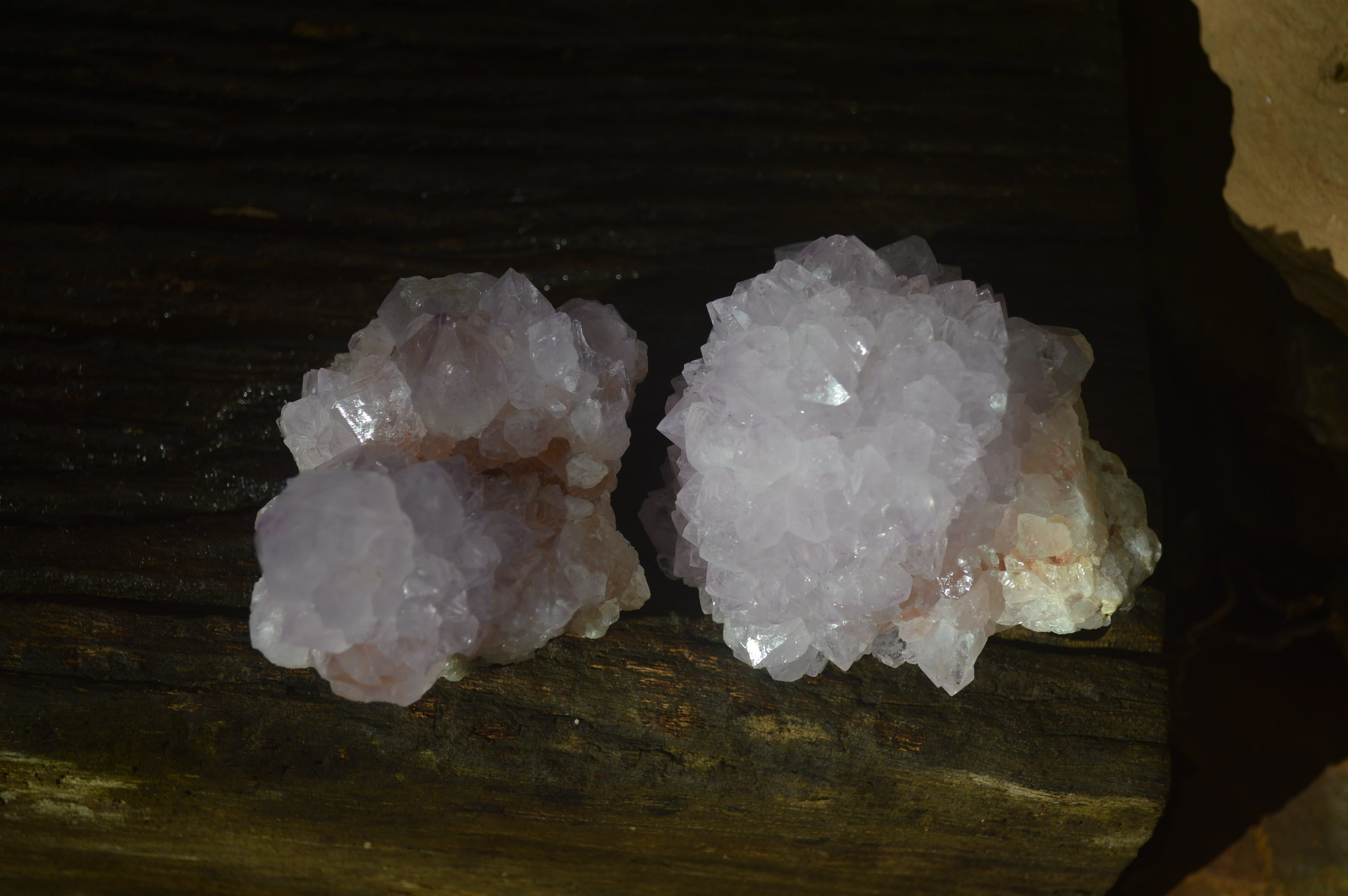 Natural Cactus Flower Spirit Quartz Clusters x 2 From Boekenhouthoek, South Africa - Toprock Gemstones and Minerals 