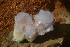 Natural Cactus Flower Spirit Quartz Clusters x 2 From Boekenhouthoek, South Africa - Toprock Gemstones and Minerals 