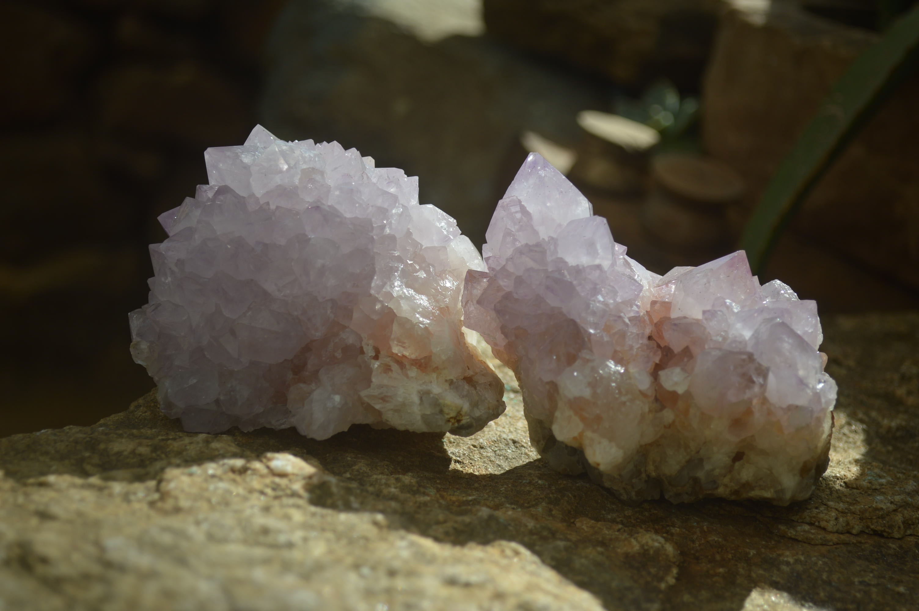 Natural Cactus Flower Spirit Quartz Clusters x 2 From Boekenhouthoek, South Africa - Toprock Gemstones and Minerals 
