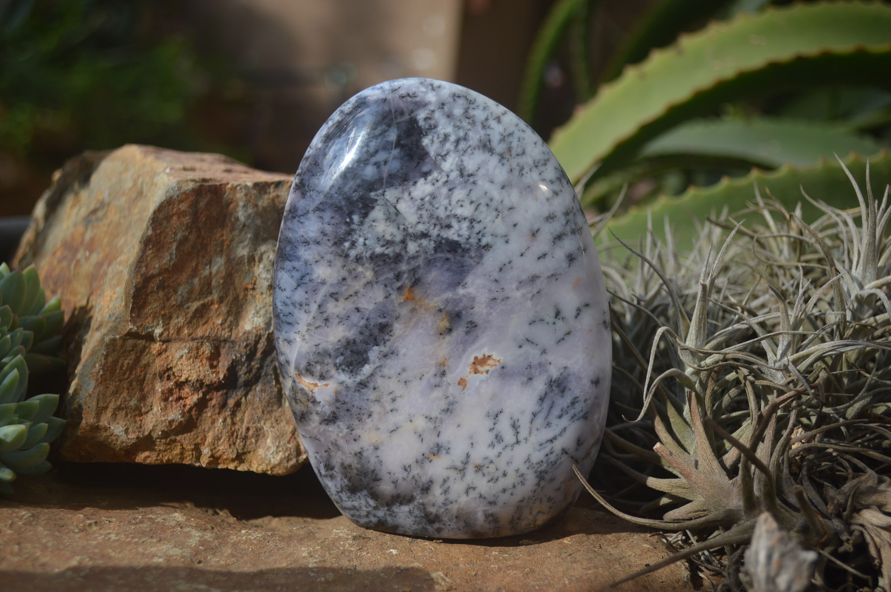 Polished Dendritic Standing Free Forms x 3 From Moralambo, Madagascar - Toprock Gemstones and Minerals 