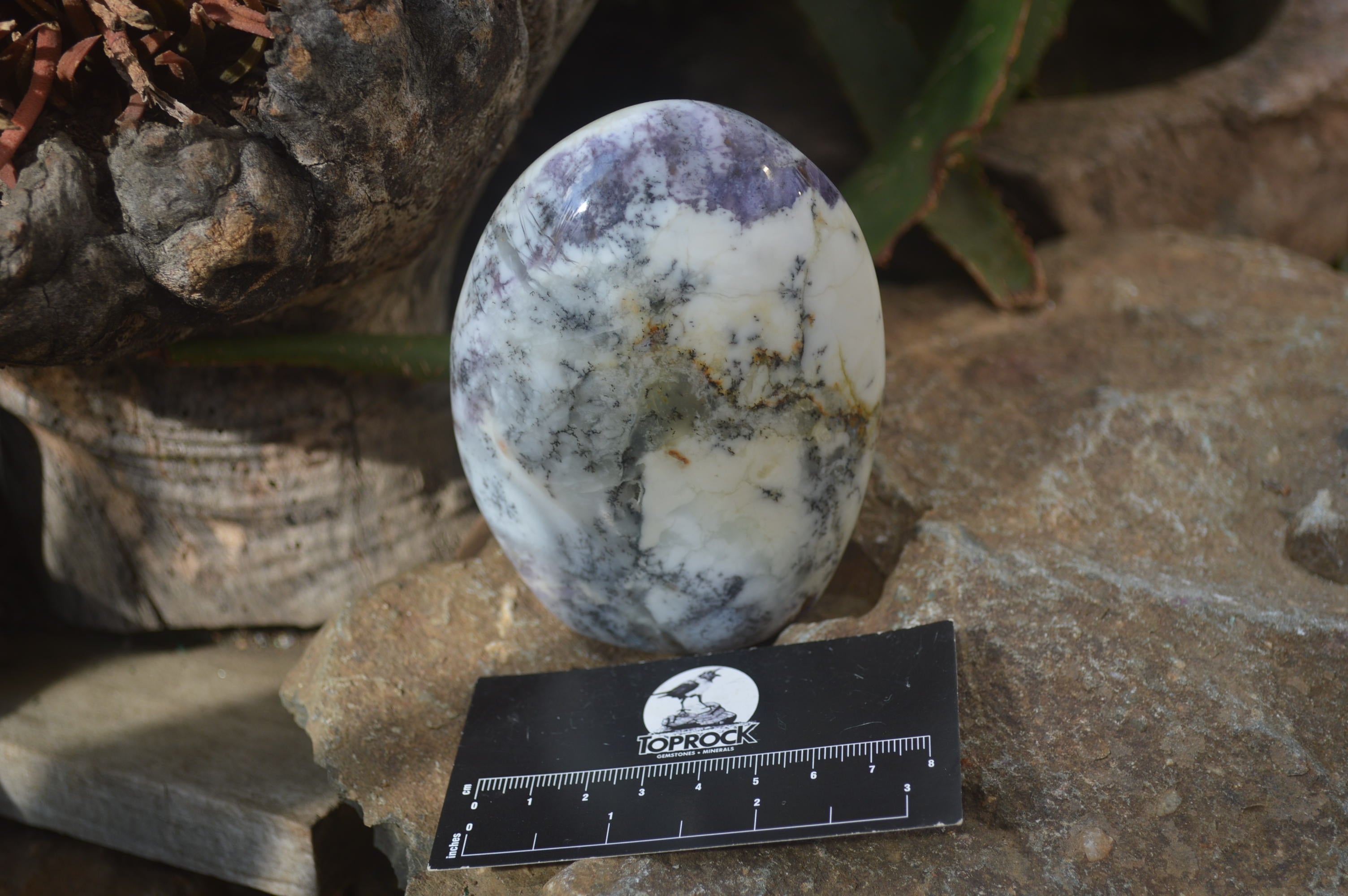 Polished Dendritic Standing Free Forms x 3 From Moralambo, Madagascar - Toprock Gemstones and Minerals 