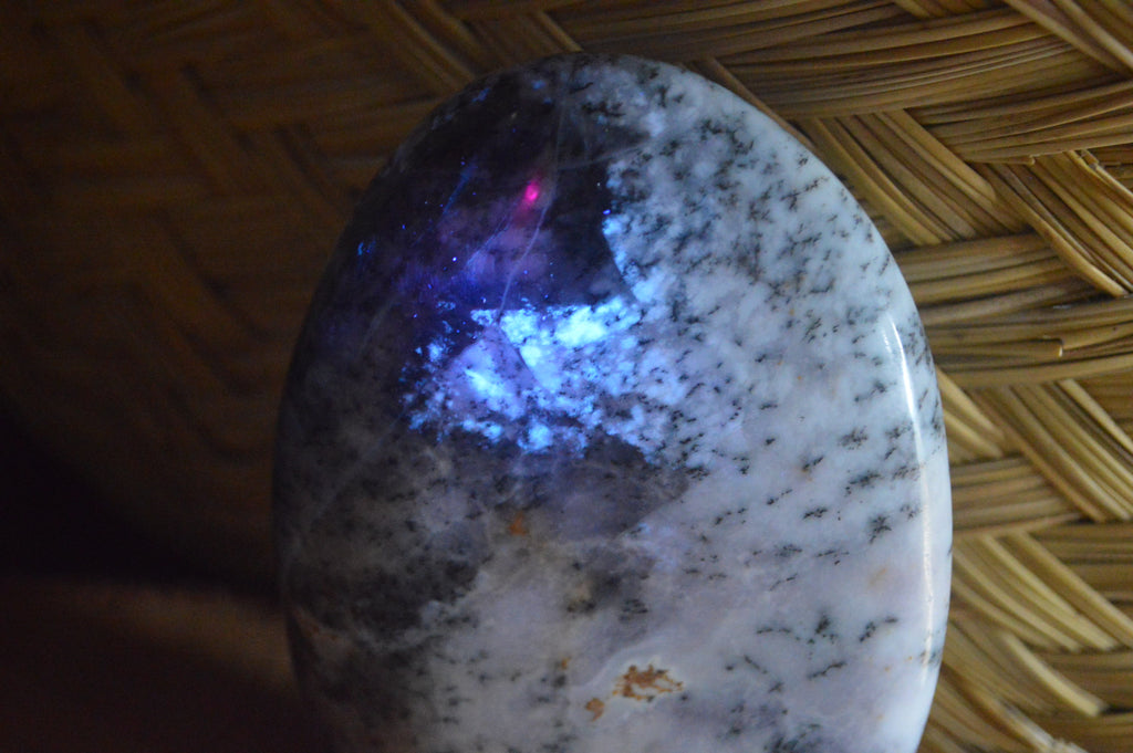 Polished Dendritic Standing Free Forms x 3 From Moralambo, Madagascar - Toprock Gemstones and Minerals 