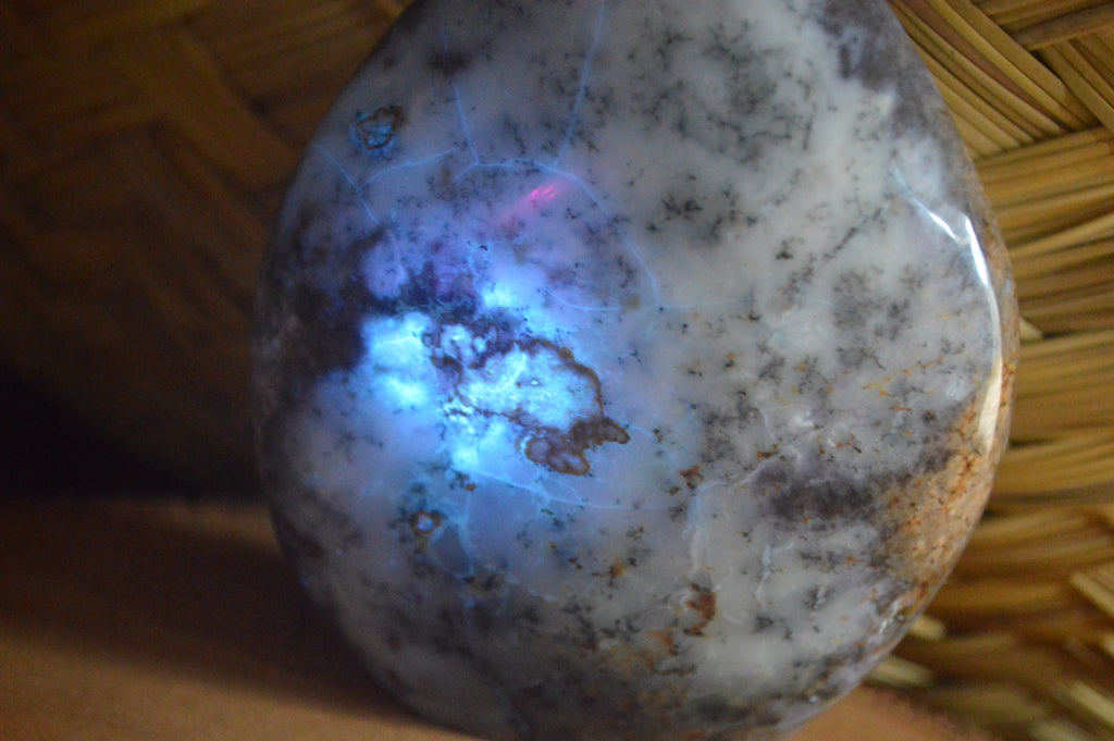 Polished Dendritic Standing Free Forms x 3 From Moralambo, Madagascar - Toprock Gemstones and Minerals 