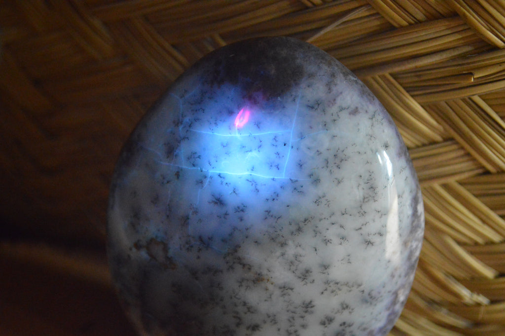 Polished Dendritic Standing Free Forms x 3 From Moralambo, Madagascar - Toprock Gemstones and Minerals 