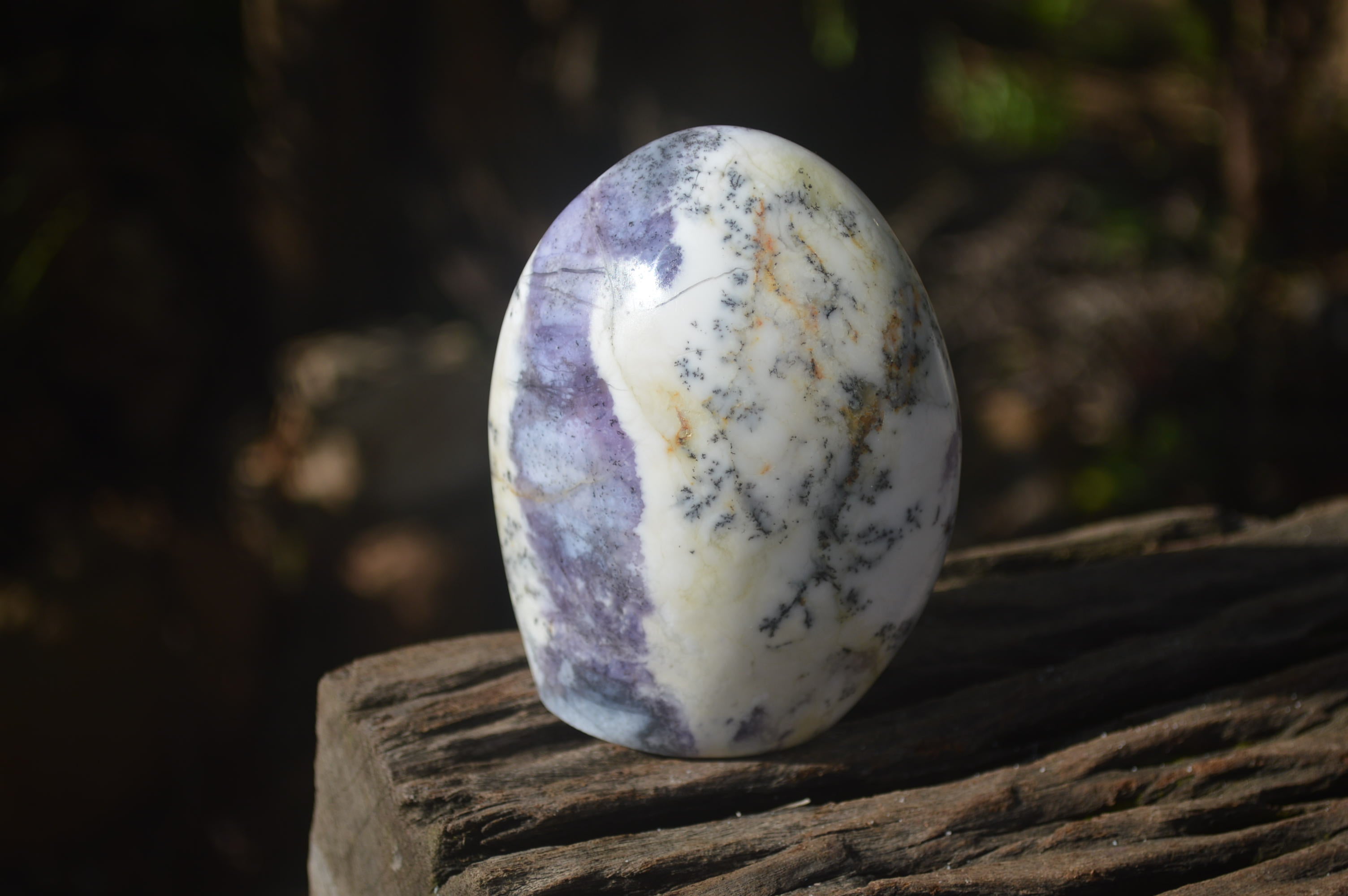 Polished Dendritic Standing Free Forms x 3 From Moralambo, Madagascar - Toprock Gemstones and Minerals 