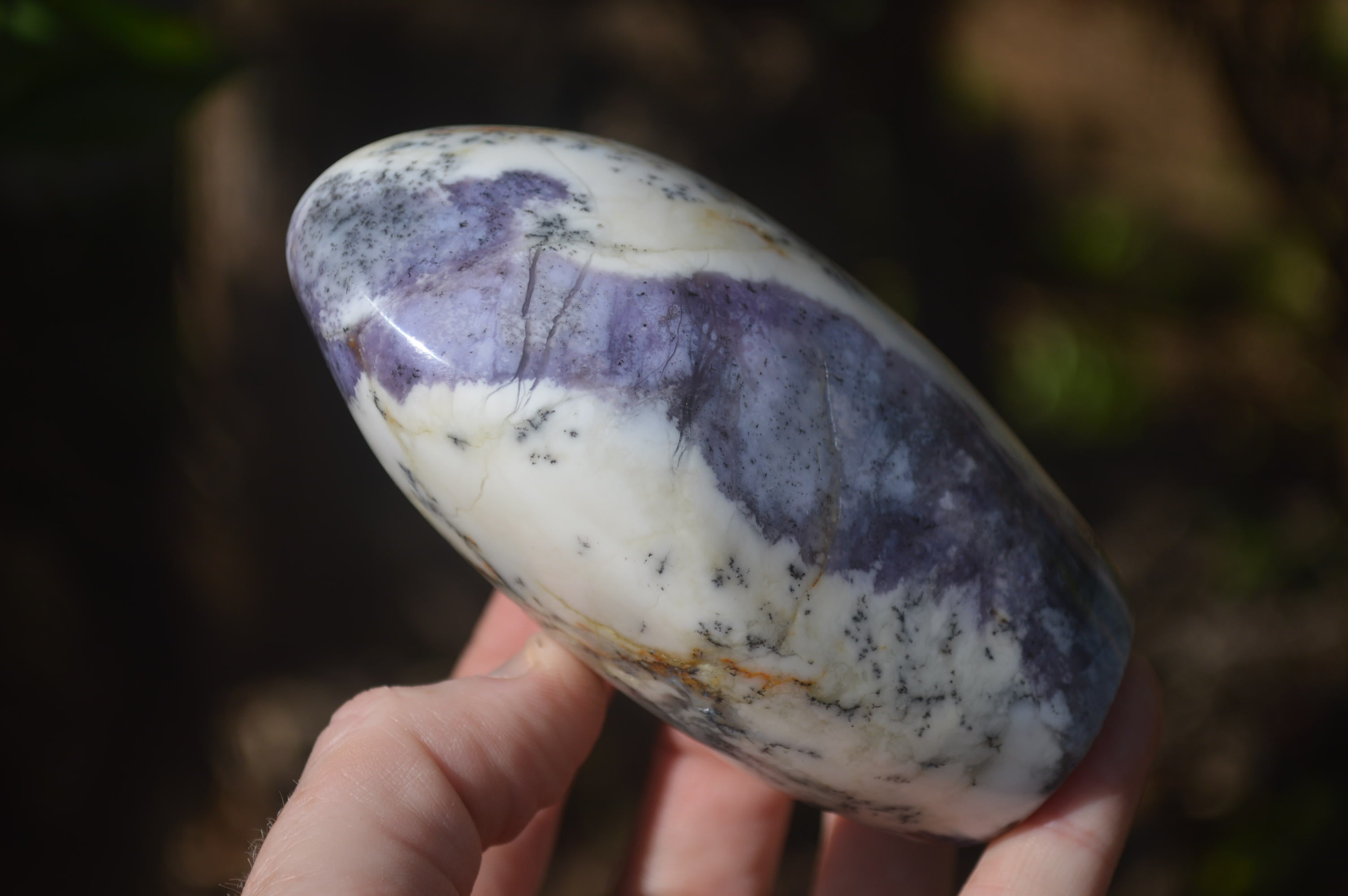 Polished Dendritic Standing Free Forms x 3 From Moralambo, Madagascar - Toprock Gemstones and Minerals 
