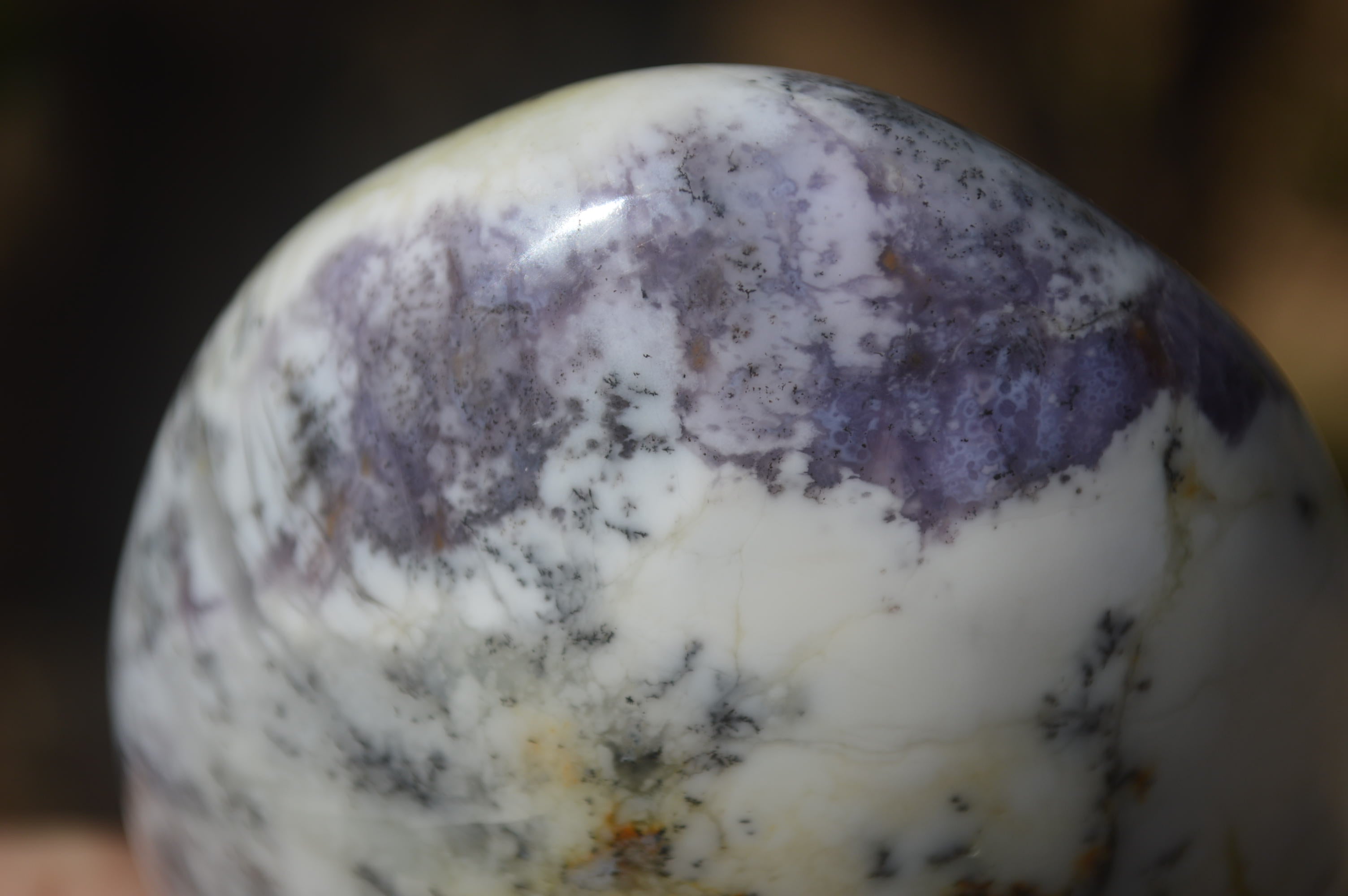 Polished Dendritic Standing Free Forms x 3 From Moralambo, Madagascar - Toprock Gemstones and Minerals 