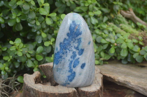 Polished Blue Spinel Spotted Quartz Standing Free Forms x 2 From Madagascar - Toprock Gemstones and Minerals 