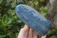 Polished Blue Spinel Spotted Quartz Standing Free Forms x 2 From Madagascar - Toprock Gemstones and Minerals 