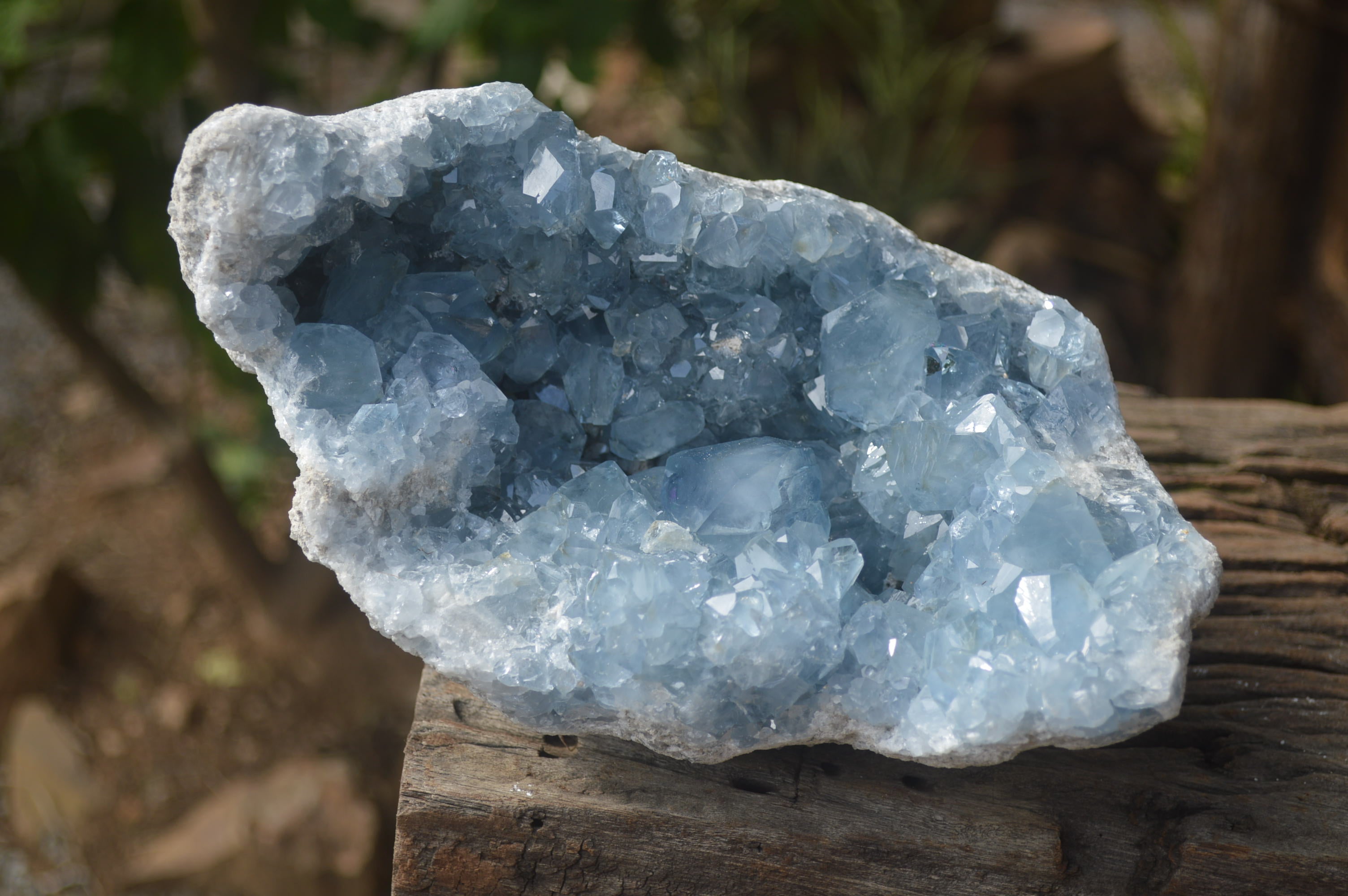 Natural Celestite Geode Specimen x 1 From Sakoany, Madagascar - Toprock Gemstones and Minerals 