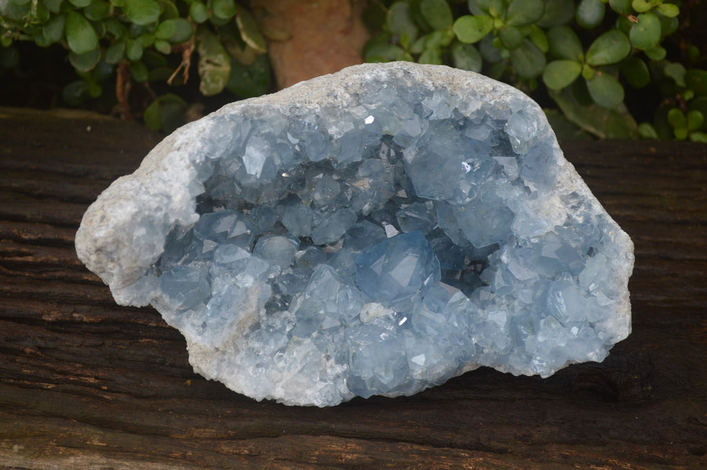 Natural Celestite Geode Specimen x 1 From Sakoany, Madagascar - Toprock Gemstones and Minerals 