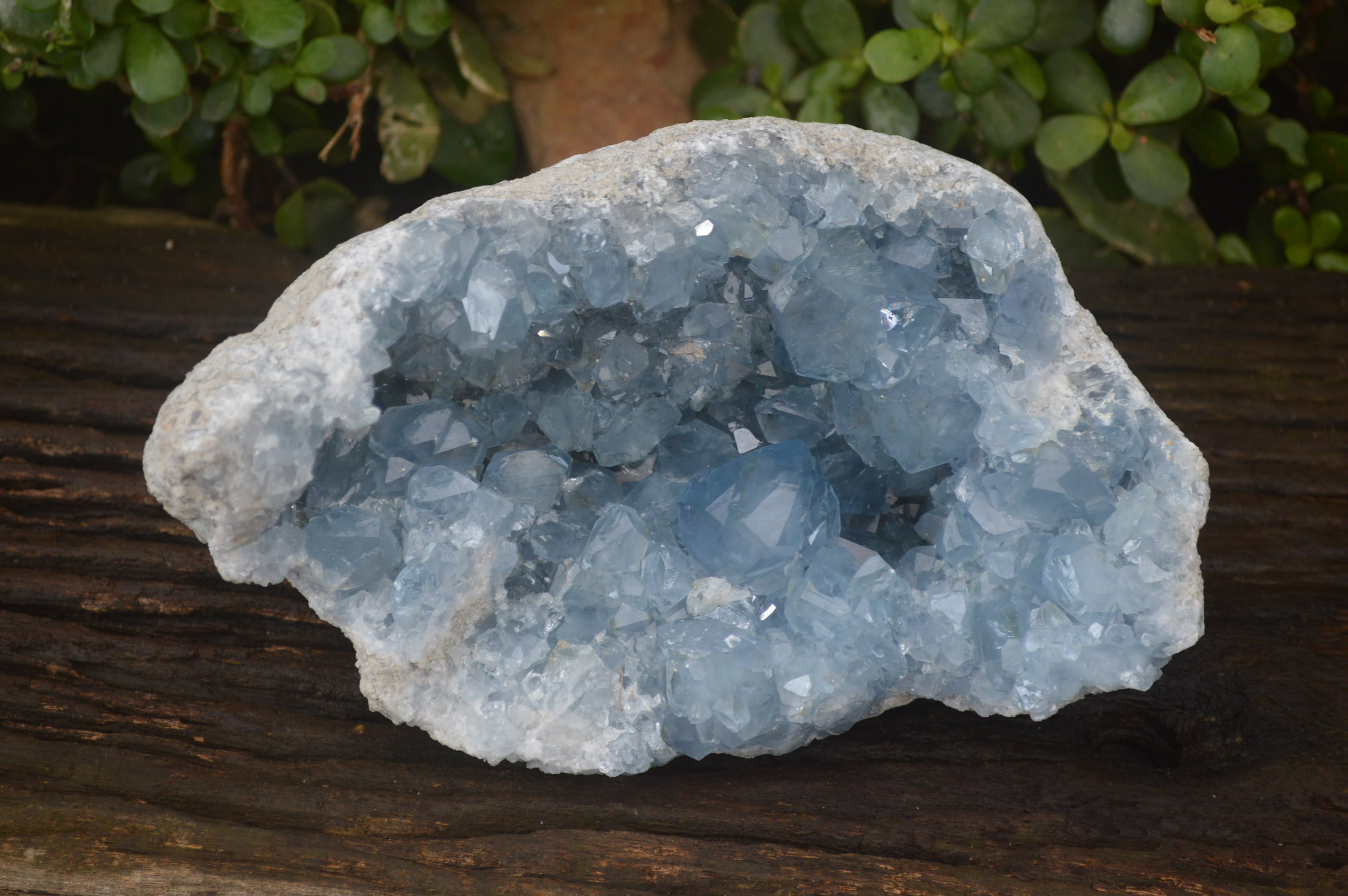 Natural Celestite Geode Specimen x 1 From Sakoany, Madagascar - Toprock Gemstones and Minerals 