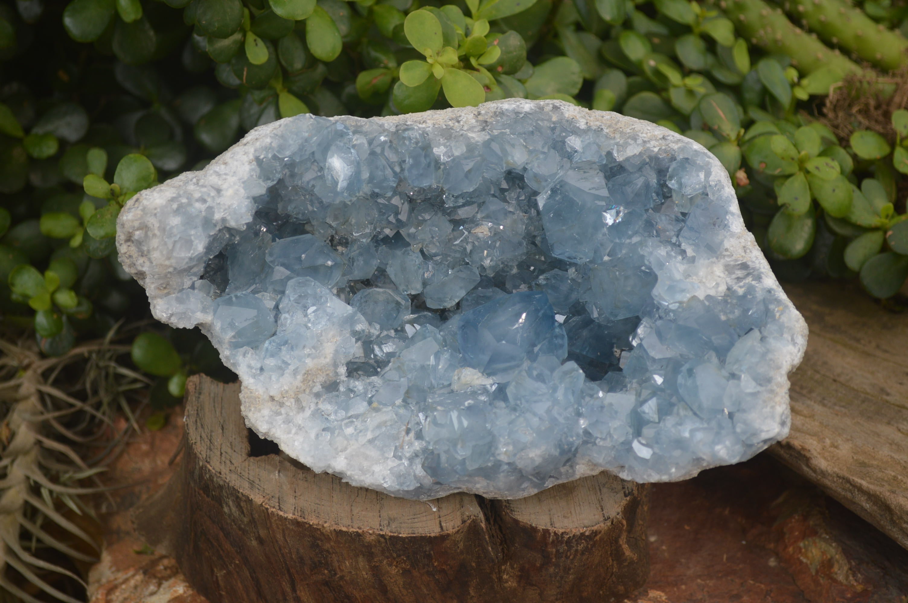 Natural Celestite Geode Specimen x 1 From Sakoany, Madagascar - Toprock Gemstones and Minerals 