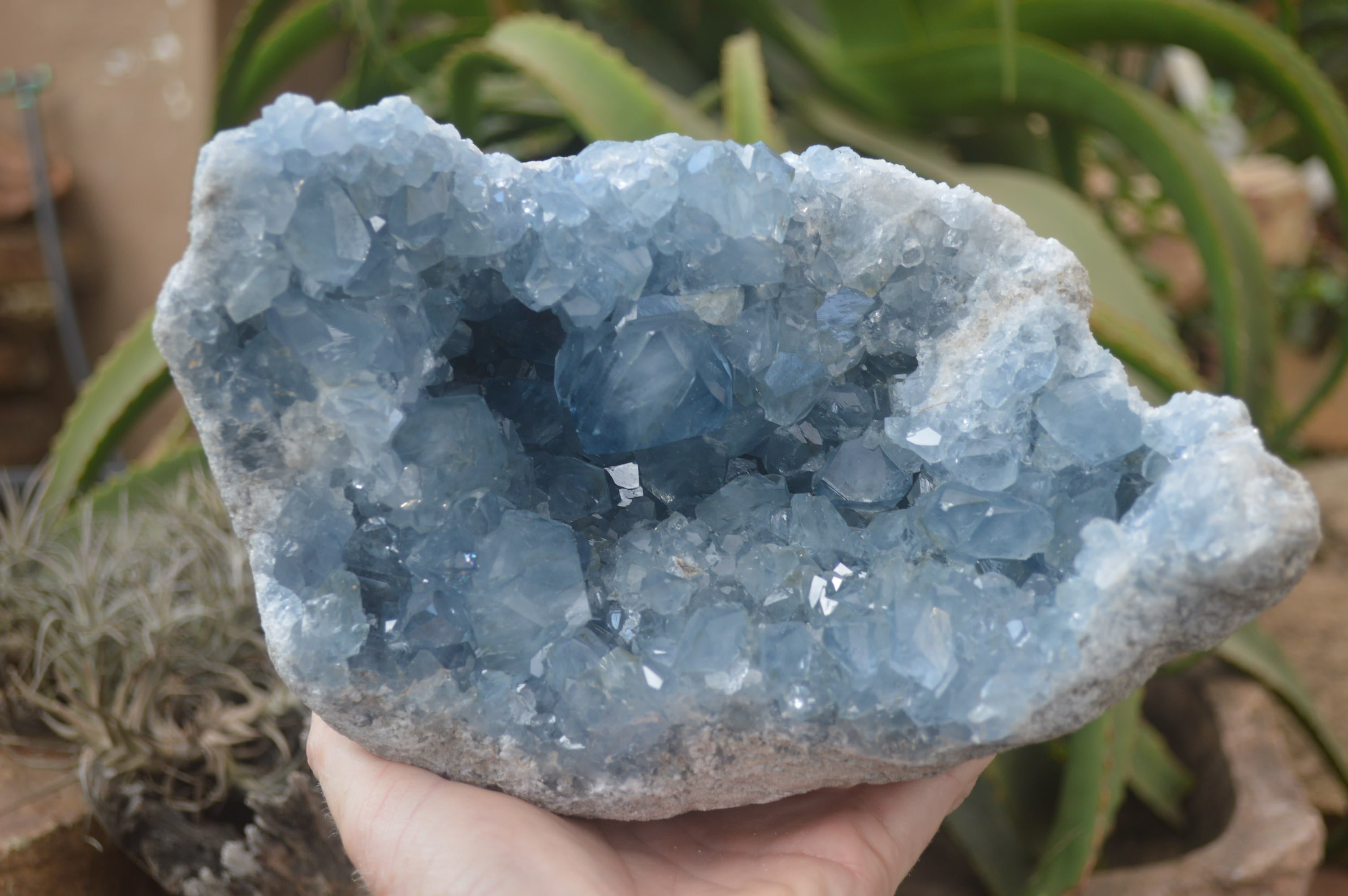 Natural Celestite Geode Specimen x 1 From Sakoany, Madagascar - Toprock Gemstones and Minerals 
