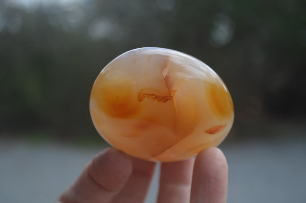 Polished Flower Agate Palm Stones x 35 From Madagascar - Toprock Gemstones and Minerals 