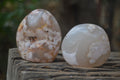 Polished Flower Agate Palm Stones x 35 From Madagascar - Toprock Gemstones and Minerals 