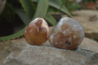 Polished Flower Agate Palm Stones x 35 From Madagascar - Toprock Gemstones and Minerals 