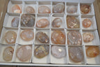 Polished Flower Agate Palm Stones x 35 From Madagascar - Toprock Gemstones and Minerals 