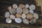 Polished Flower Agate Palm Stones x 35 From Madagascar - Toprock Gemstones and Minerals 