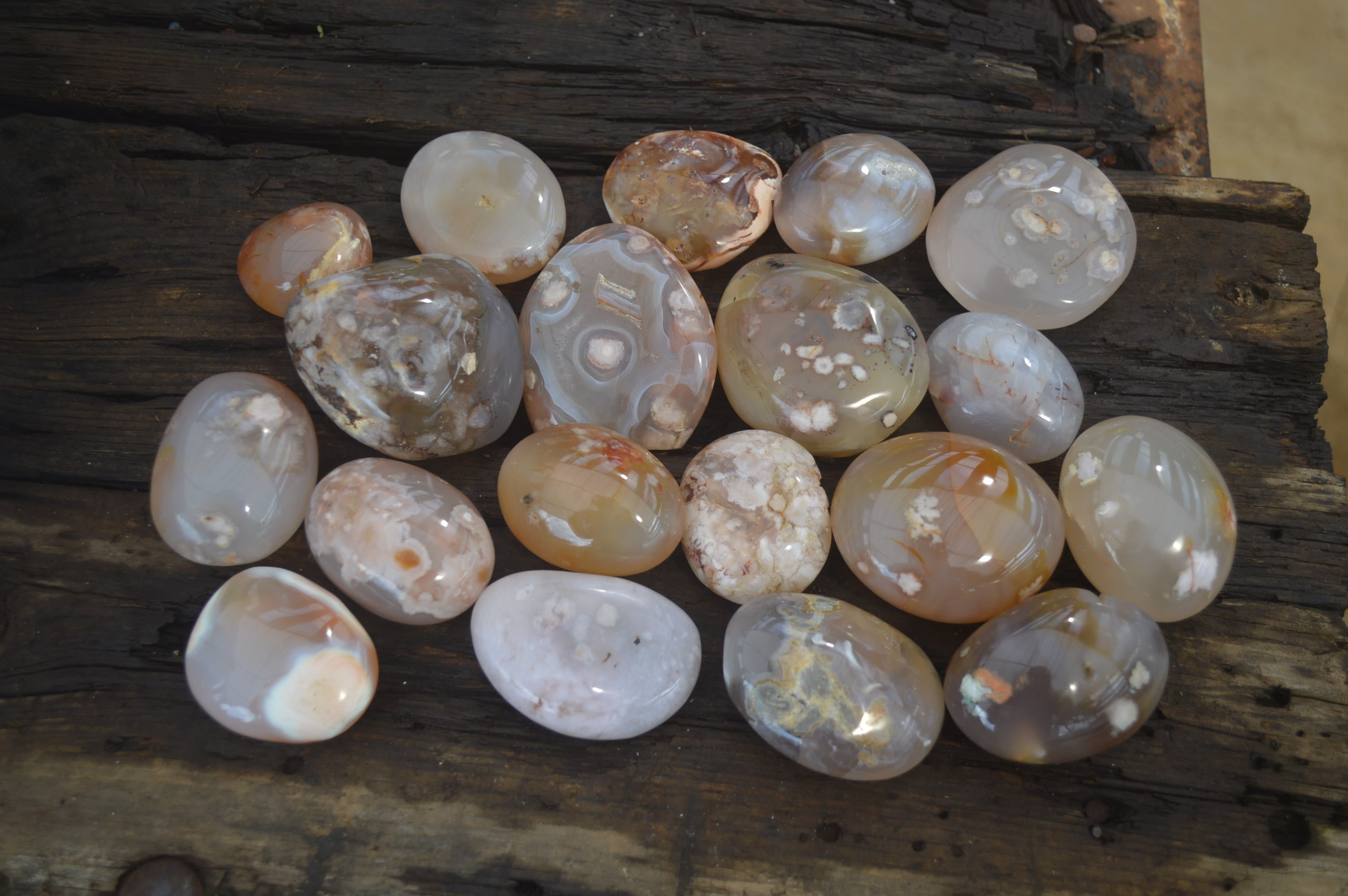 Polished Flower Agate Palm Stones x 35 From Madagascar - Toprock Gemstones and Minerals 