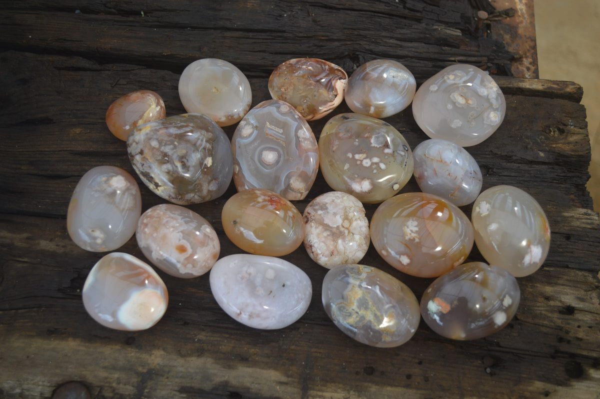 Polished Flower Agate Palm Stones x 35 From Madagascar - Toprock Gemstones and Minerals 