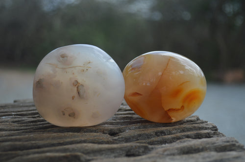 Polished Flower Agate Palm Stones x 35 From Madagascar - Toprock Gemstones and Minerals 