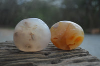 Polished Flower Agate Palm Stones x 35 From Madagascar - Toprock Gemstones and Minerals 