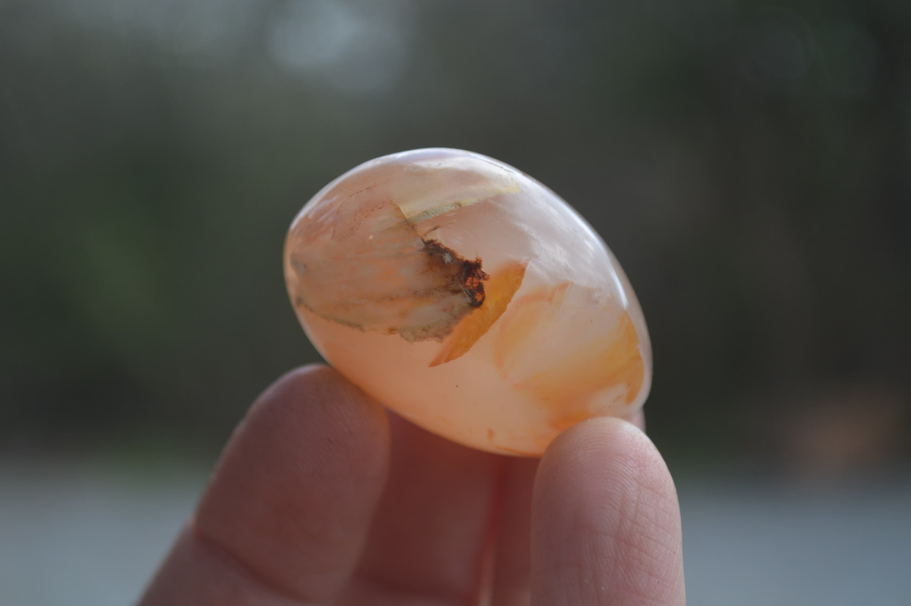 Polished Flower Agate Palm Stones x 35 From Madagascar - Toprock Gemstones and Minerals 