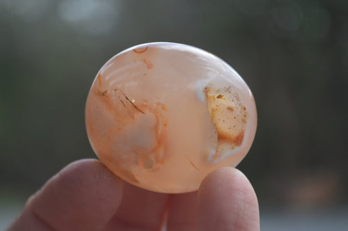 Polished Flower Agate Palm Stones x 35 From Madagascar - Toprock Gemstones and Minerals 
