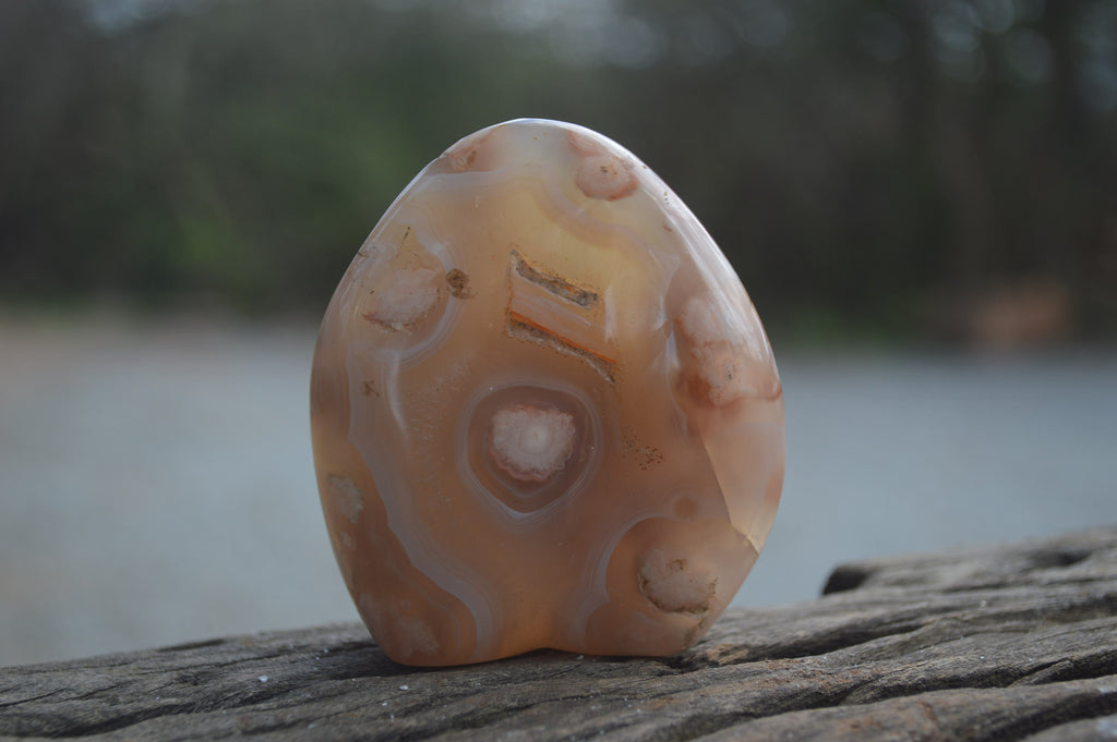 Polished Flower Agate Palm Stones x 35 From Madagascar - Toprock Gemstones and Minerals 