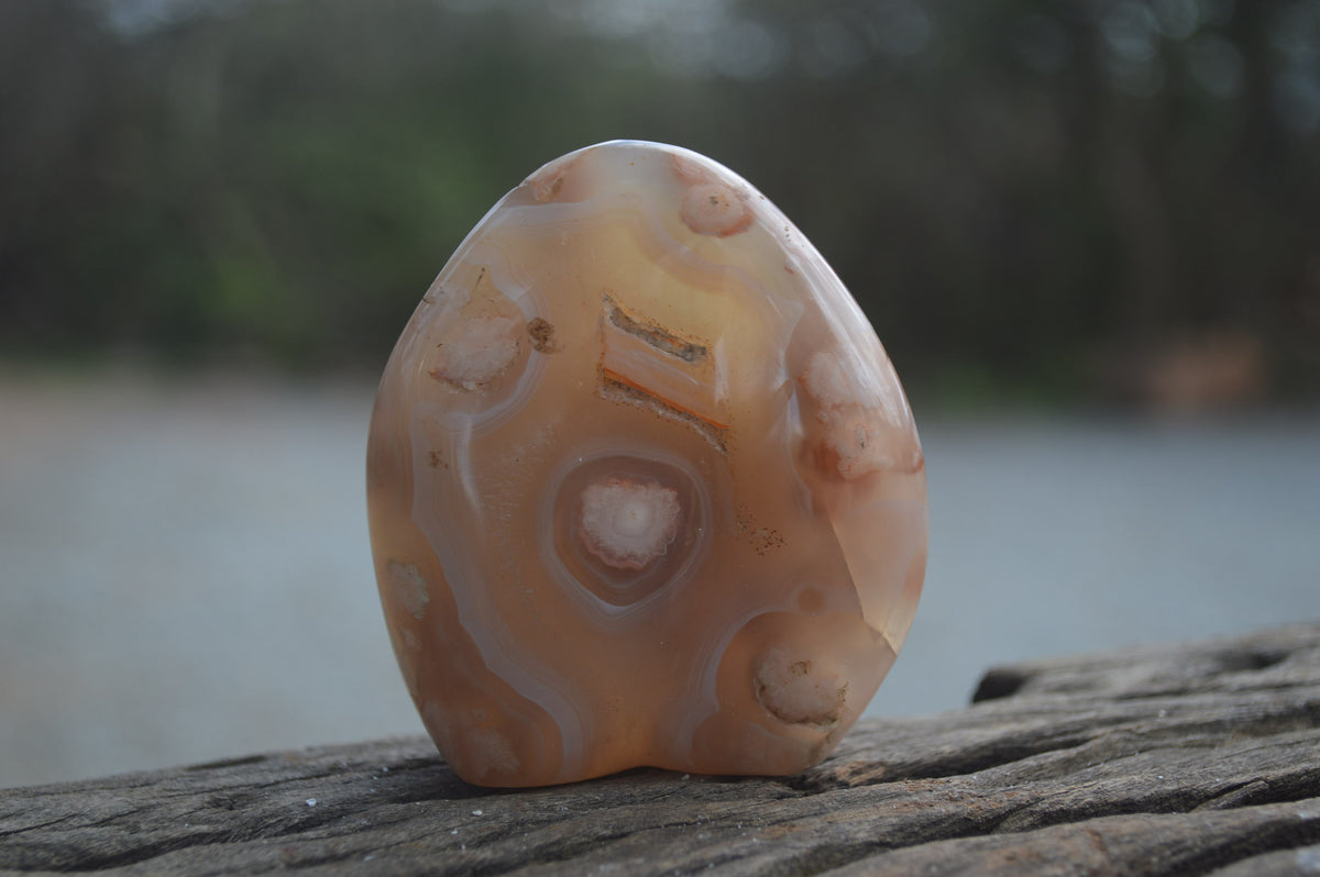 Polished Flower Agate Palm Stones x 35 From Madagascar - Toprock Gemstones and Minerals 